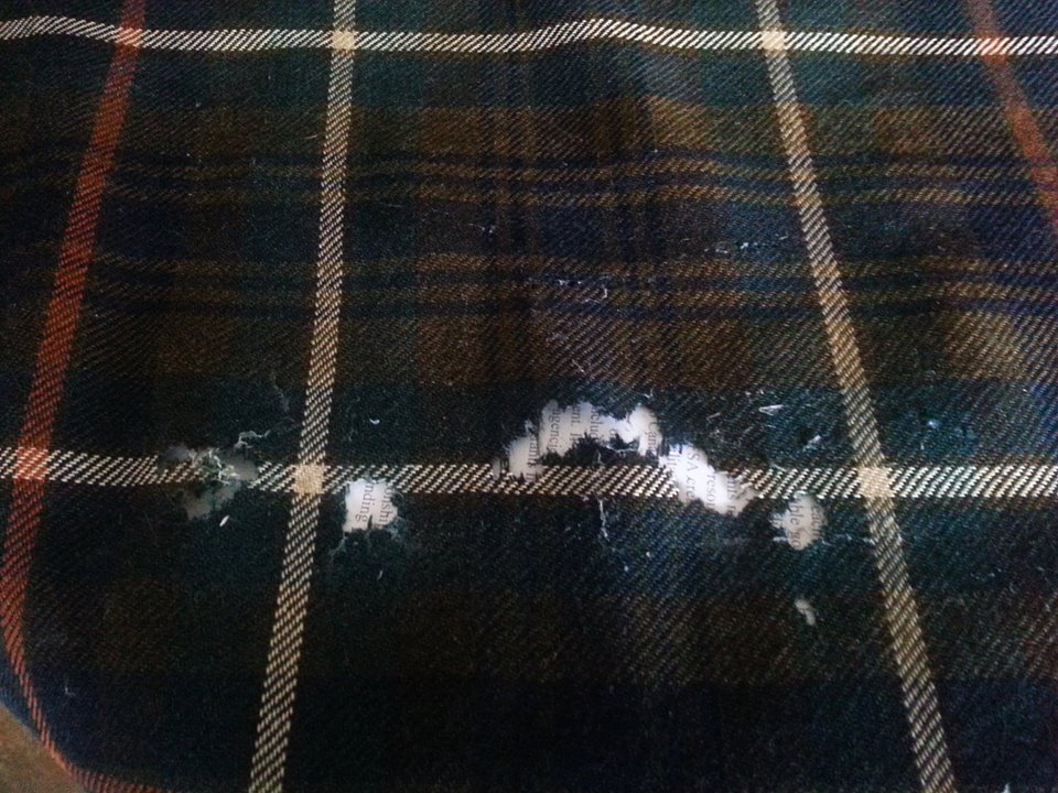 How To Look After Your Kilt