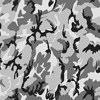 Urban Camo
